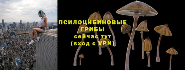 мяу мяу мука Баксан