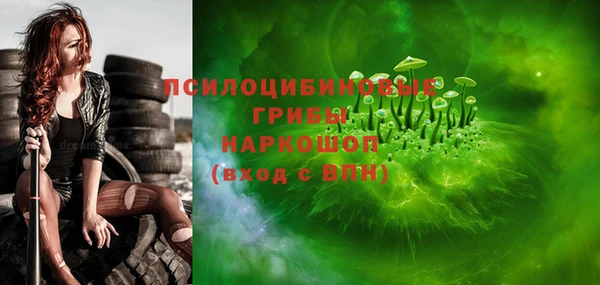 мяу мяу мука Баксан