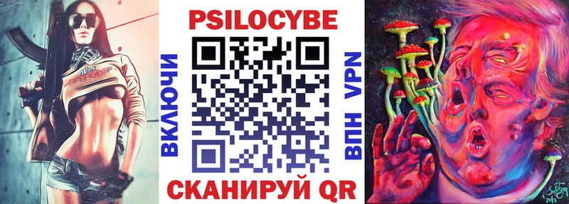 Псилоцибиновые грибы Psilocybine cubensis  Новоалександровск 